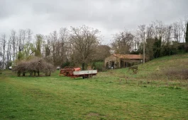 Azienda Agricola Janas
